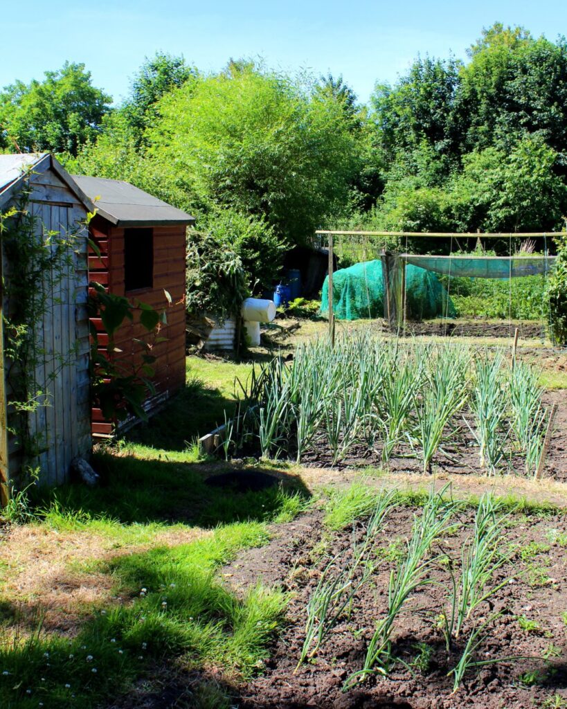 Kúpa záhradnej chatky: Jar je ideálny čas - čo potrebujete vedieť pred kúpou? - Pekné reality Kúpa záhradnej chatky: Jar je ideálny čas - čo potrebujete vedieť pred kúpou? - Pekné reality