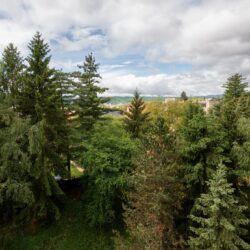 Úspešný predaj 2-izbového bytu s loggiou - Pekné reality foto10